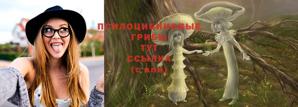 apvp Алзамай