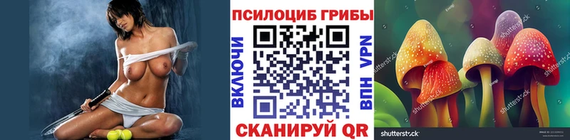 Псилоцибиновые грибы Psilocybine cubensis  купить   Сосновоборск 